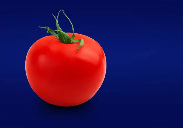 Pomidor. Czerwony dojrzały pomidor na niebieskim tle. — Zdjęcie stockowe