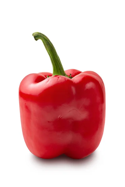 Červený pepř. Hezký pepř. Jeden paprika izolované na bílém pozadí. — Stock fotografie