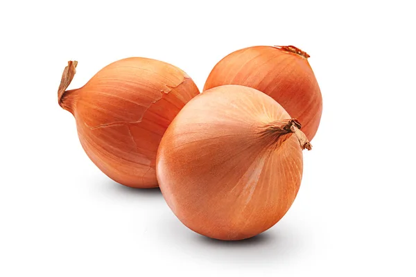 Onion. Three fresh organic onion bulbs isolated on a white background. — ストック写真