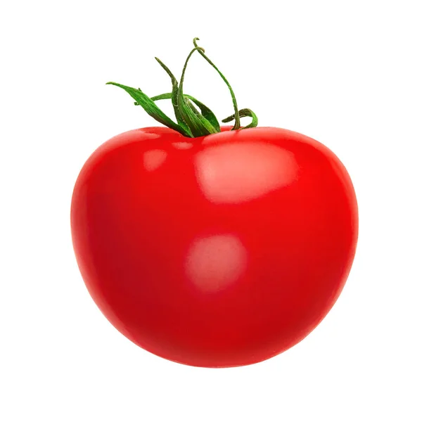Pomidor. zbliżenie jeden czerwony dojrzały pomidor izolowany na białym tle. — Zdjęcie stockowe