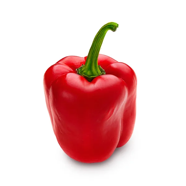 Paprika. Paprika. Nahaufnahme Paprika isoliert auf weißem Hintergrund. — Stockfoto