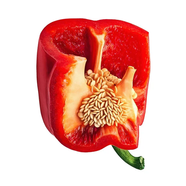 Pirospaprika magokkal. Szeletelt paprika elszigetelt fehér alapon. Bioélelmiszerek. — Stock Fotó