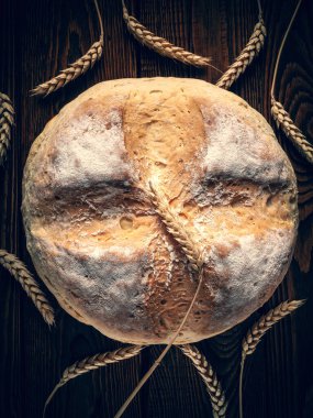 Ev yapımı sıcak ekmek. Yuvarlak bir somun köylü ekmeği ve ahşap bir zeminde buğday başakları. Ev yapımı pişirme. Tonu ayarlanmış resim.