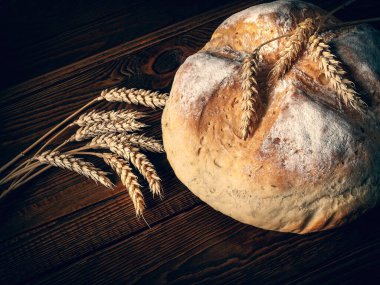 Ev yapımı sıcak ekmek. Yuvarlak Köfte Köylü ekmeği ve ahşap arka planda buğday kulakları. Ev yapımı pişirme. Tonu ayarlanmış resim.