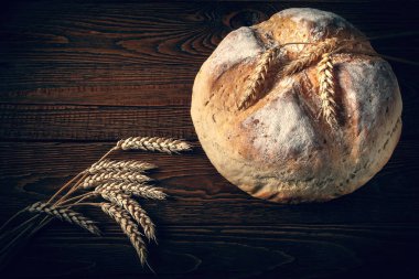 Ev yapımı taze ekmek. Bir somun yuvarlak köylü ekmeği ve ahşap bir zeminde buğday başakları. Ev yapımı pişirme. Tonu ayarlanmış resim.