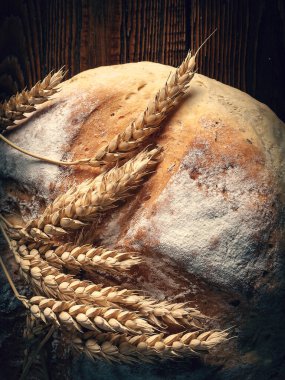 Ev yapımı taze ekmek. Yuvarlak bir somun köylü ekmeği ve ahşap bir zeminde buğday başaklarının yakın çekimi. Ev yapımı pişirme. Tonu ayarlanmış resim.