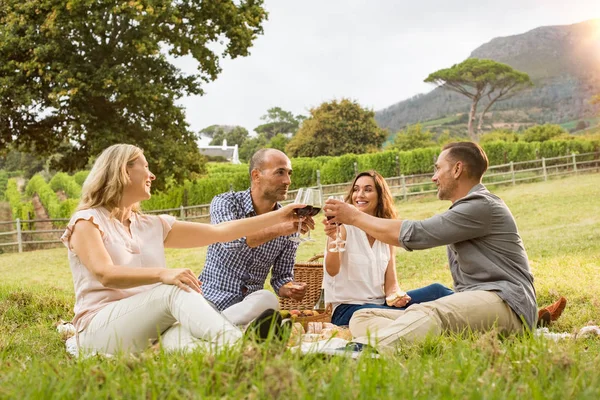 Friends cheering at picnic — Stock Photo, Image