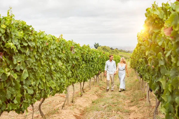 Parejas maduras en viñedo — Foto de Stock