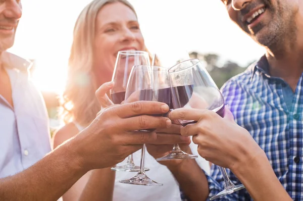 Przyjaciele podnosząc toast z winem — Zdjęcie stockowe
