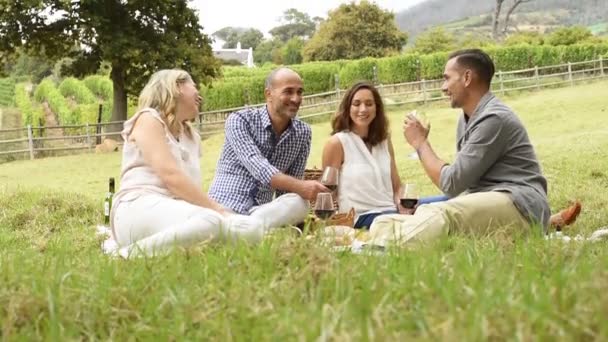 Ältere Freunde genießen Picknick — Stockvideo