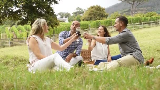 Des amis matures levant leurs verres à vin et trinquant tout en se relaxant sur une couverture de pique-nique près d'un panier dans le parc. Groupe de couples d'âge moyen qui pique-niquent et mangent ensemble. Amis dégustant un verre de vin rouge pendant le pique-nique en été . — Video