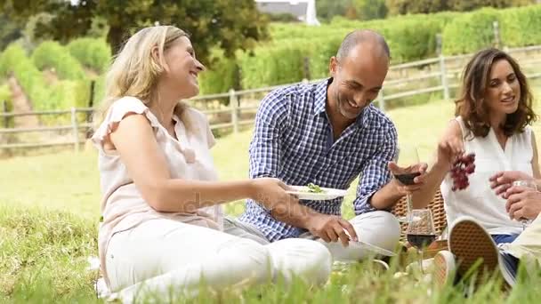 愉快的中间夫妇吃野餐 — 图库视频影像