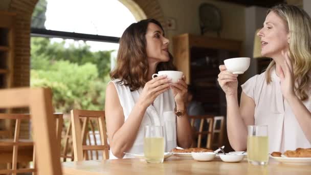 Dos hermosas mujeres maduras sosteniendo una taza de café y hablando entre ellas en una cafetería. Mujeres mayores conversando mientras desayunan. Felices amigos de mediana edad reunidos para tomar un café . — Vídeos de Stock