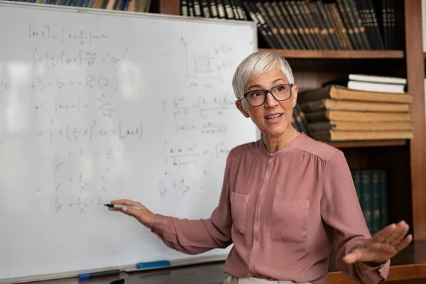 College professor explaining math — Stock Photo, Image