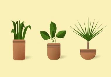 İç mekan bitkileri kümesi. Vektör toplama. Ev çiçekleri tencere