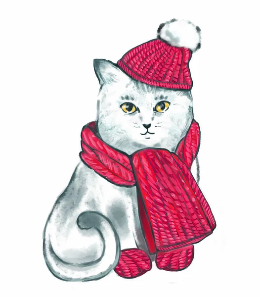 sevimli Kış beyaz kedi karakteri bir örme kırmızı bere ve kırmızı knited atkı ve eldiven illüstrasyon