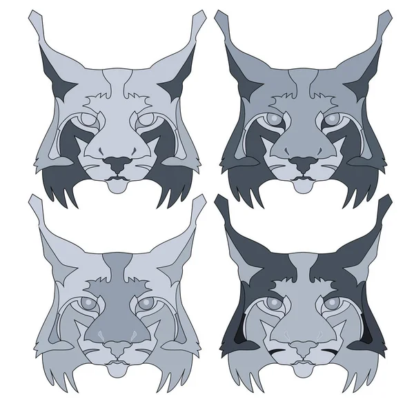 Lynx arcok absztrakt ábra a színek beállítása — Stock Vector