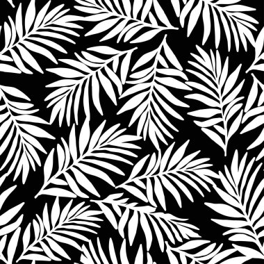 Beyaz palmiye siyah arkaplanda iz bırakır.