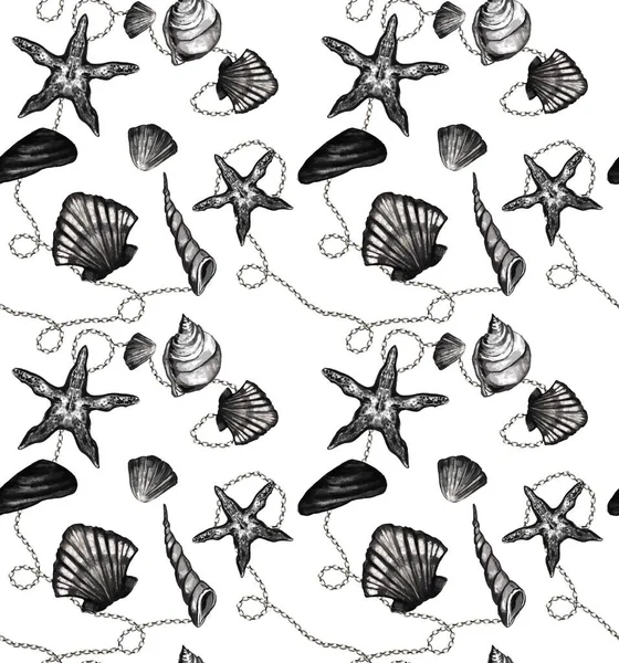 Seamless Vector Pattern Seashells Starfish Monochrome Color Chains White Background — Stok Foto