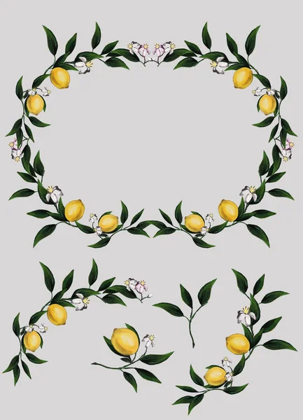 Vintage Lemons Flowers Leaves Watercolor Style Fruits Raster Citrus Illustration — Stock Photo, Image