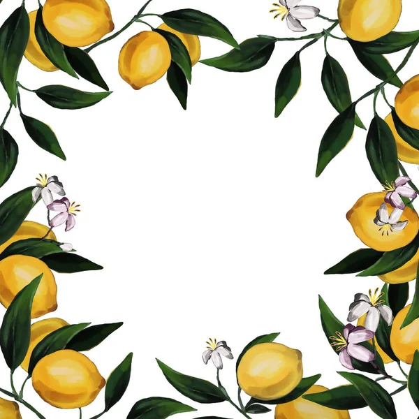 Raster Illustration Frame Lemons Leaves White Background Perfect Design Sticker — Stock Photo, Image