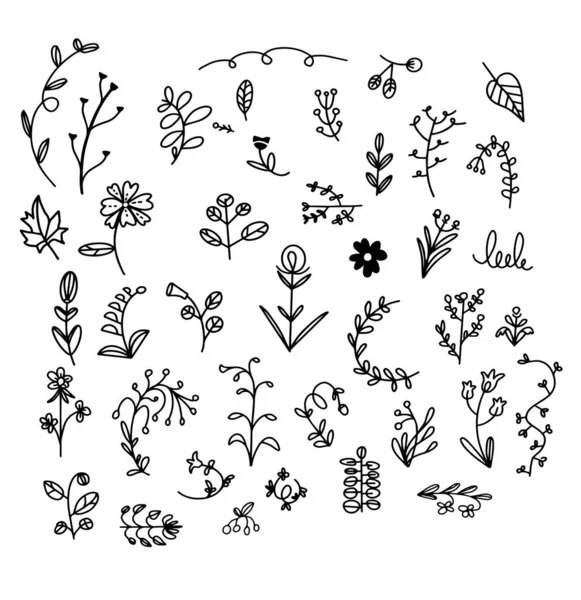 Simple vector plants pattern on white background. — Stock Vector