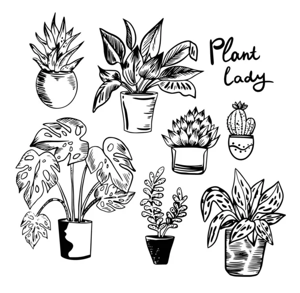 Ilustración vectorial con plantas de casa en macetas en colores blanco y negro . — Vector de stock