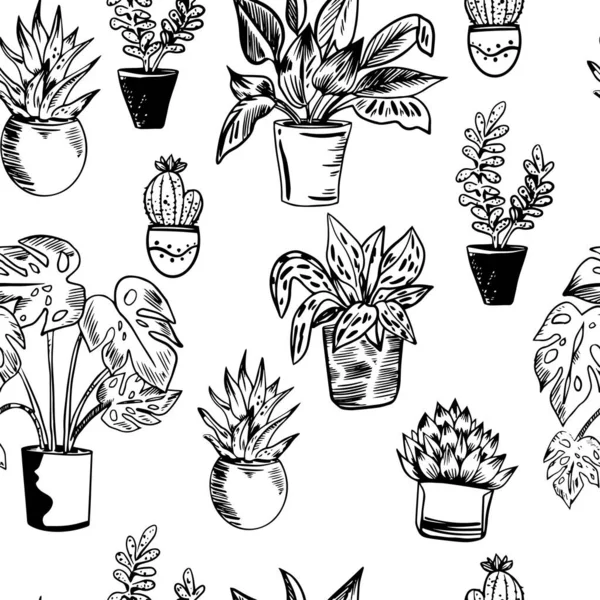 Vector seamless pattern with house plants in pots in black and white colors. — Stock Vector