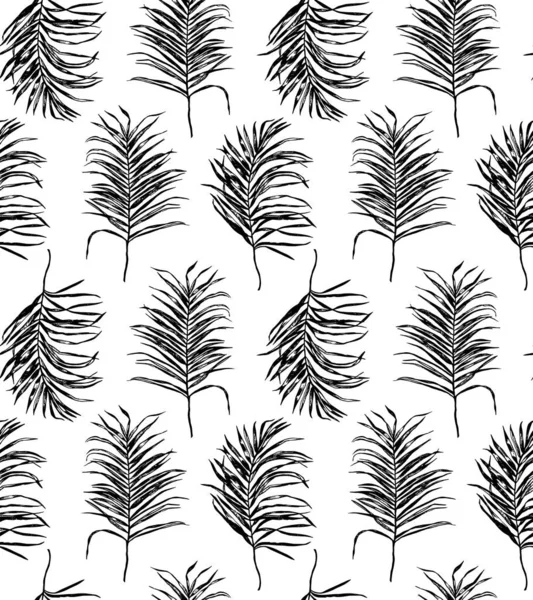 Palmera tropical blanco y negro hojas patrón sin costura . — Vector de stock