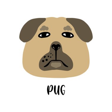 Çizgi filmlerdeki sevimli köpek suratları. Vektör illüstrasyonu beyaza izole edildi. Popüler köpek cinsi.. 