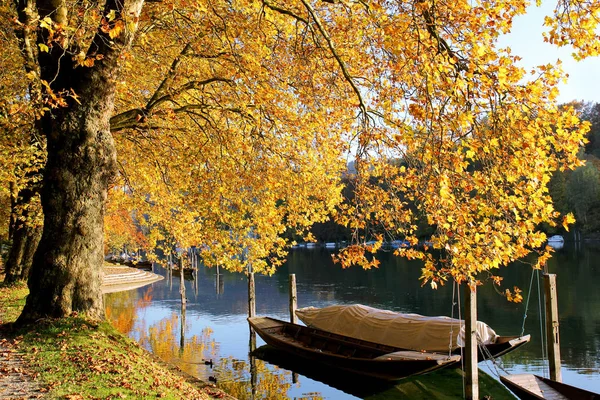Autumn scene at the Rhine riverside — Stock Photo, Image