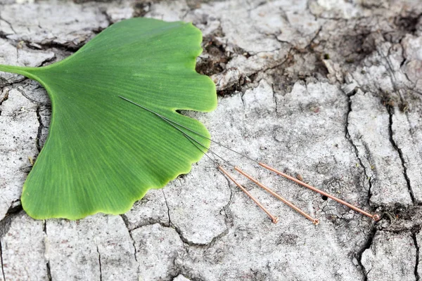 Akupunktur iğneleri ve ginkgo yaprağı — Stok fotoğraf