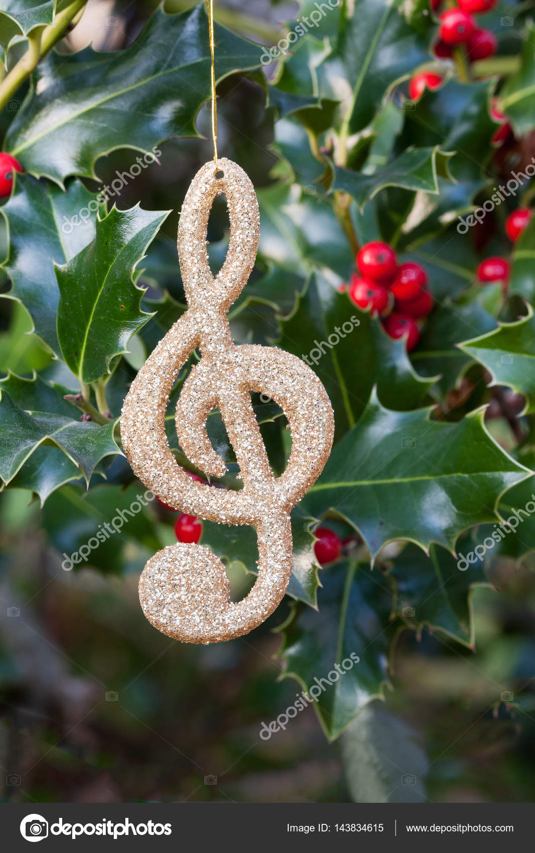 Decorative Music Note Hanging On Holly Sprigs Stock Photo