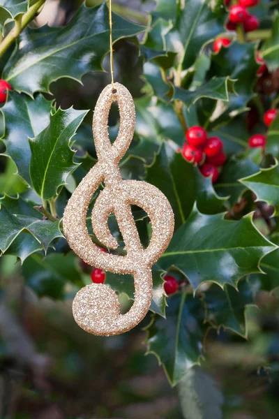 Decoratieve muziek Opmerking holly takjes hangen — Stockfoto