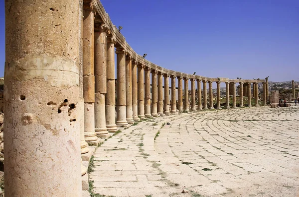 Antika romerska kolonner i Jerash, Jordanien — Stockfoto