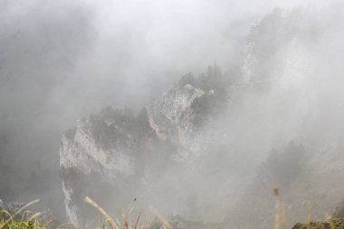 Görüntü arka plan - sis dağlarda