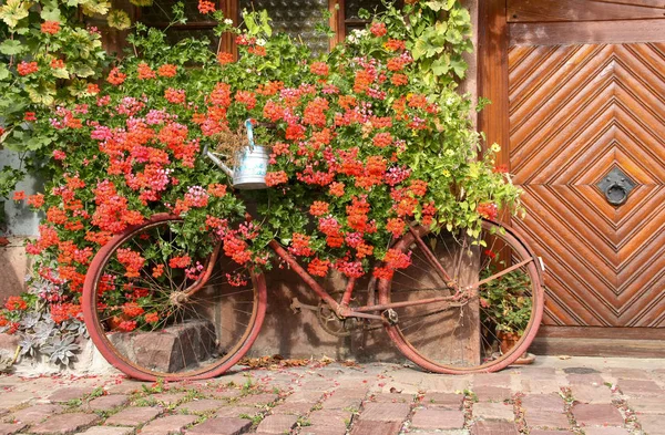 Ein rotes rostiges Fahrrad mit Geranien an der Haustür — Stockfoto