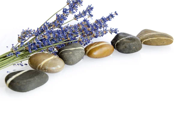 Stones with a bunch of lavender — Stock Photo, Image