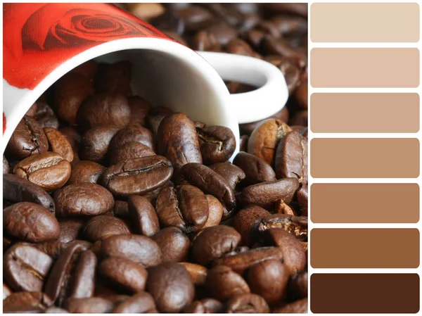 Serie de paletas de colores: tonos marrones - granos de café y taza de café —  Fotos de Stock