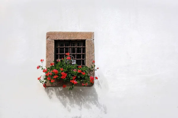Taş pencere ve kırmızı Sardunya çiçeği — Stok fotoğraf
