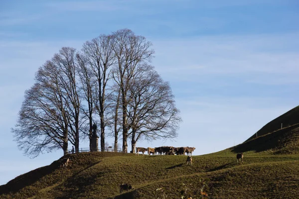 Klosterhgel (修道院の丘)、スイスのアインジーデルン — ストック写真