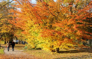 Sonbahar sezonu mesire