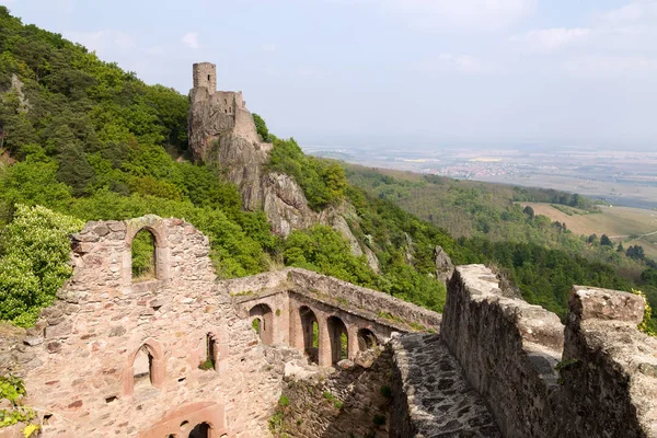 法国阿尔萨斯 Ribeauville 山顶上的中世纪城堡圣俄里遗址 — 图库照片