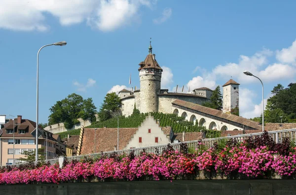 中世纪城堡 Munot 在瑞士老镇沙夫豪森 看见从桥梁在莱茵河与装饰红色花在夏天天 — 图库照片