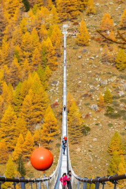 Randa, Switzerland - October 27, 2019: The Charles Kuonen suspension bridge in Mettertal, Valais, Switzerland in autumn.  It is the longest hanging bridge (494 meter) for pedestrian use in the world.