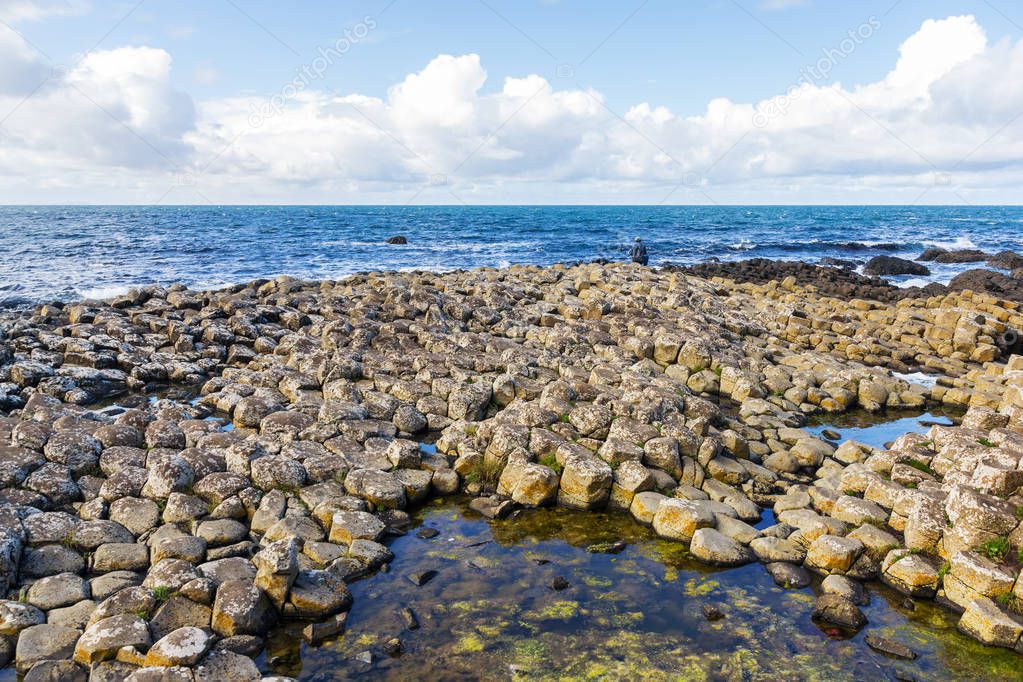 Coast of Giants Causeway in Northern Ireland with volcanic basaltic stones