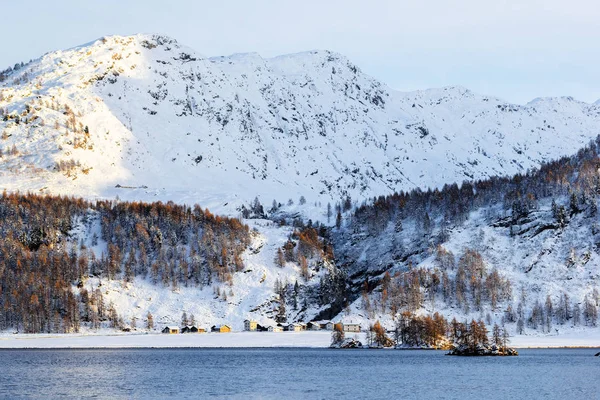 Délutáni Napsugarak Falu Felett Isola Plan Grand Sils Lake Moritz — Stock Fotó