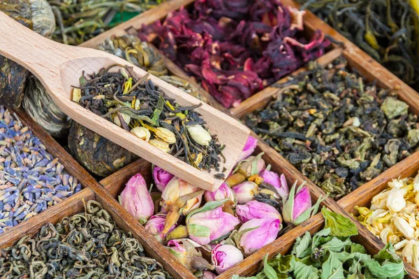 Válogatott Gyógynövény Tea Fadobozban Kézi Fókusz — Stock Fotó