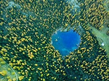 Sonbahar mevsiminde kalp şeklinde Saoseo Gölü üzerinde sabah çam ve karaçam ağaçlarıyla hava manzarası, İsviçre