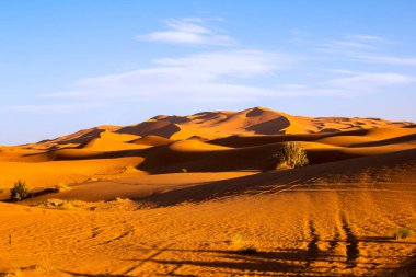 Mavi güneşli gökyüzü altında Sahara Desert hatları ve gölge ile kum tepeleri